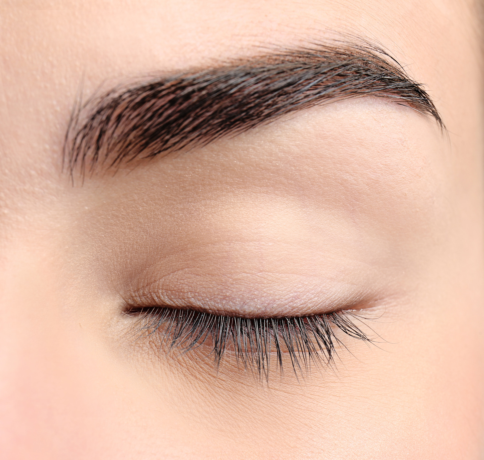Close-up of a smooth, laminated brow